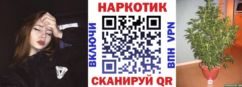 Купить Завитинск Бошки Шишки  Галлюциногенные грибы  Cocaine  ГАШ  Меф мяу мяу  Alpha-PVP 