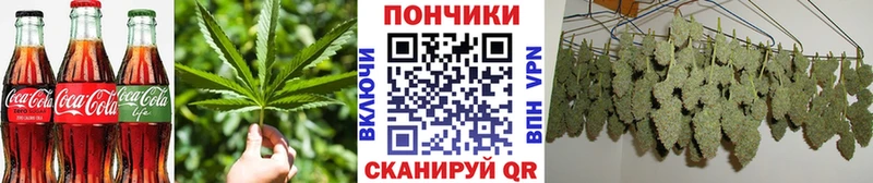 наркотики  Завитинск  MEGA ТОР  Canna-Cookies марихуана 