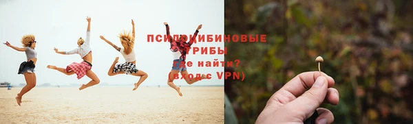 гидропоника Алзамай